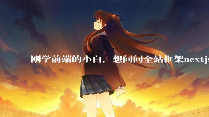 刚学前端的小白，想问问全站框架nextjs+shadcn+prisma为什么在国内不火呢？